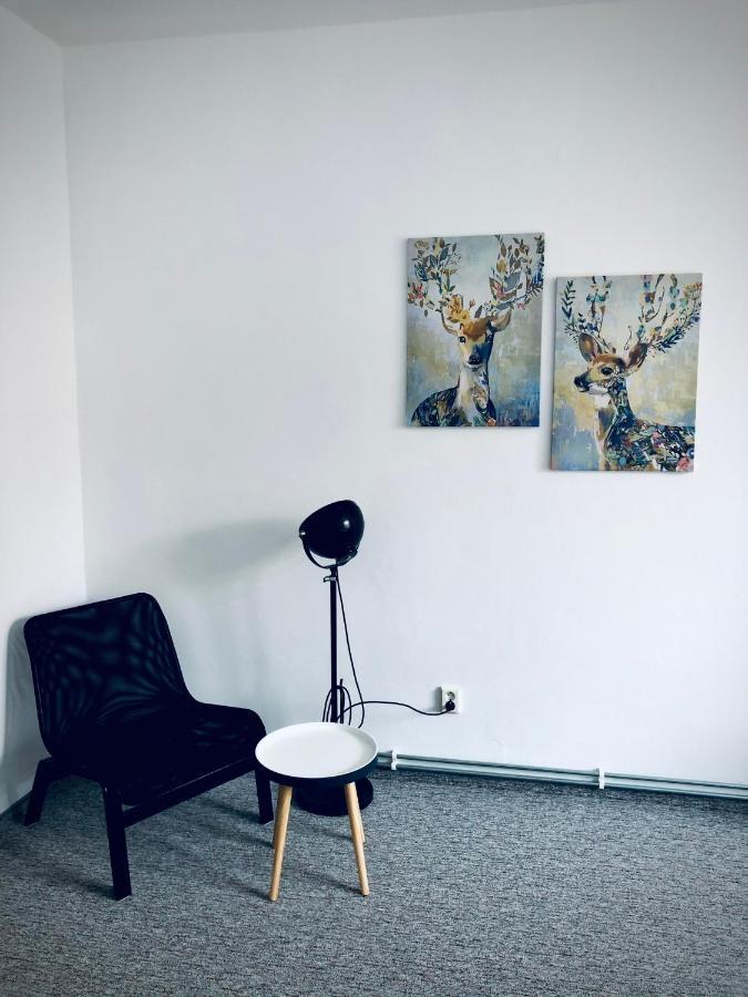 Apartman Krystof Františkovy Lázně Kültér fotó